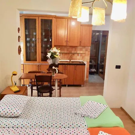 Apartment By The Lake In The City Center *